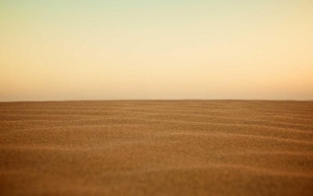 Nihil officiis nesciunt repellendus enim